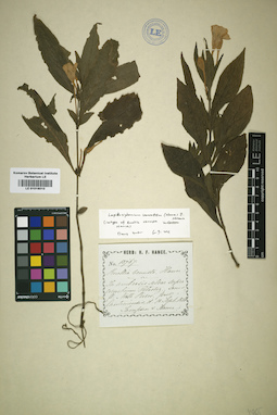 LE 01016010