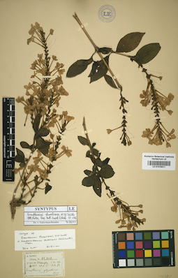 LE 01016011