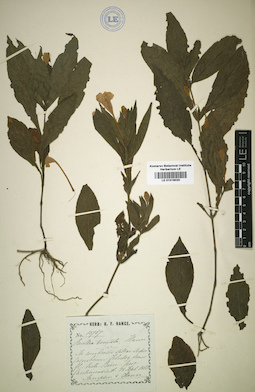 LE 01016020