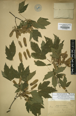 LE 01016022