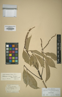LE 01016023