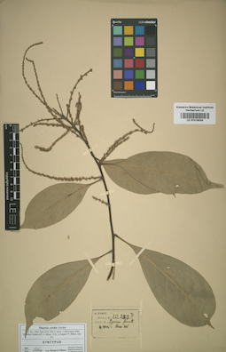 LE 01016024