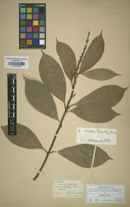 LE 01016027