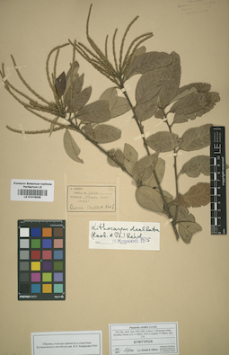 LE 01016028