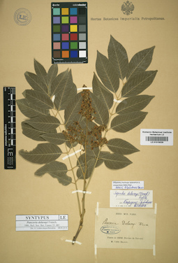 LE 01016029