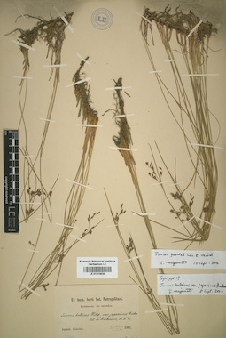 LE 01016038