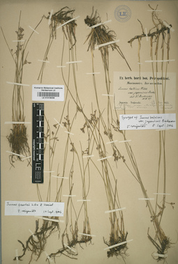 LE 01016039