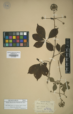 LE 01016051