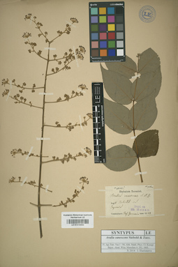 LE 01016052