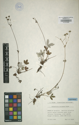 LE 01016069