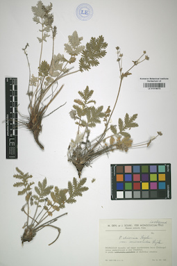 LE 01016072
