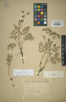 LE 01016073