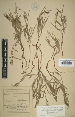LE 01016075