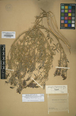 LE 01016083
