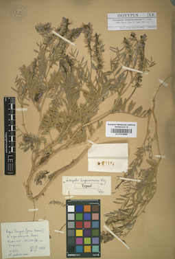 LE 01016085