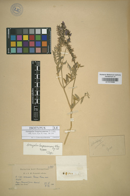 LE 01016086