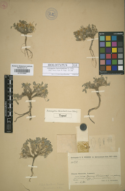 LE 01016087