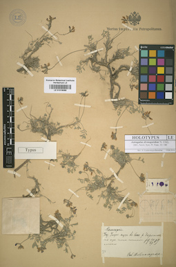 LE 01016088