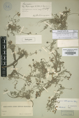 LE 01016089