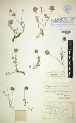 LE 01016094