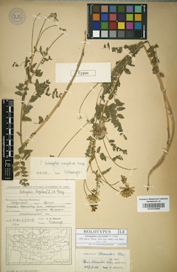LE 01016095