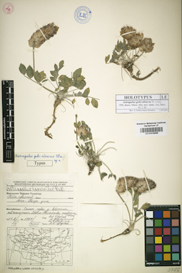 LE 01016096