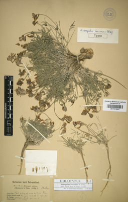 LE 01016097