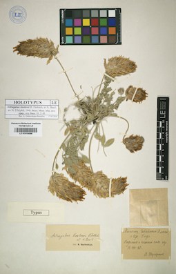LE 01016098