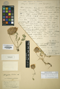 LE 01016099