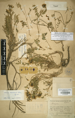 LE 01016100