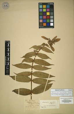 LE 01016101