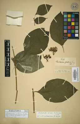LE 01016102
