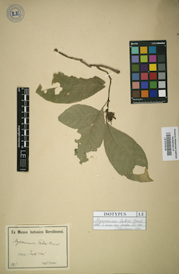 LE 01016103
