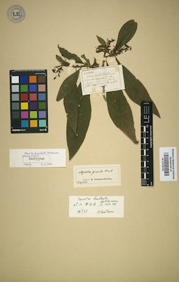 LE 01016104