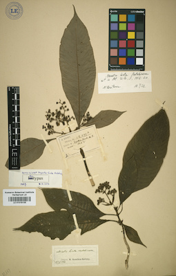LE 01016105