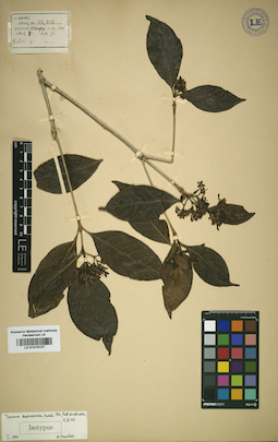 LE 01016107