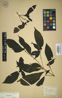LE 01016109