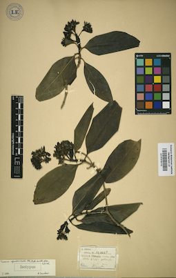 LE 01016110