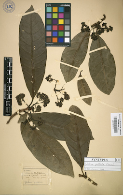 LE 01016112