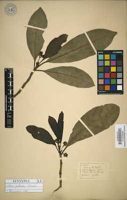 LE 01016114