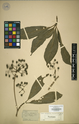 LE 01016120