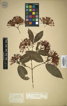 LE 01016121