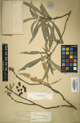 LE 01016122