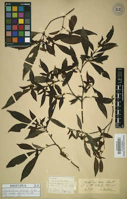 LE 01016123