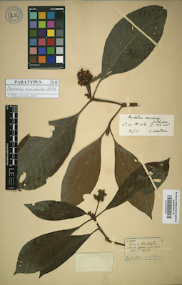 LE 01016124