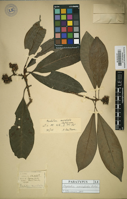 LE 01016126