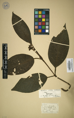 LE 01016127