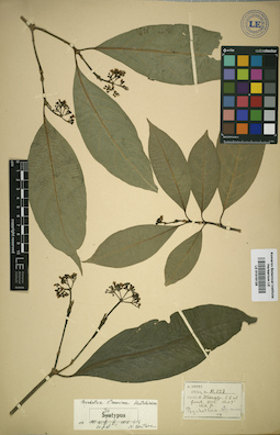 LE 01016128