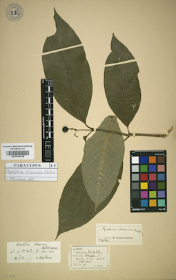 LE 01016129