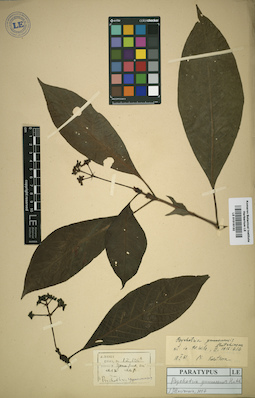LE 01016132